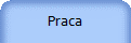 Praca